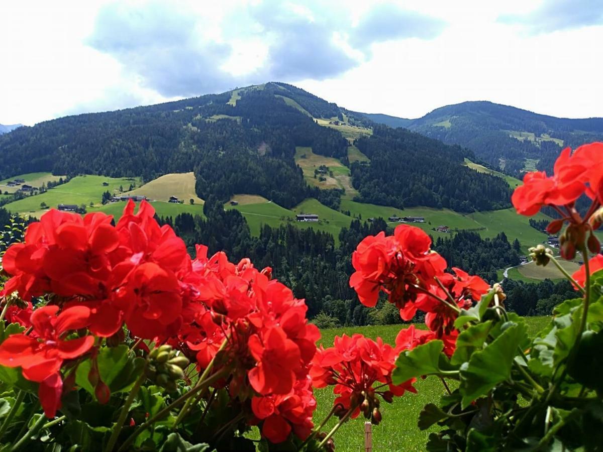 Aussermooserhof 알프바취 외부 사진